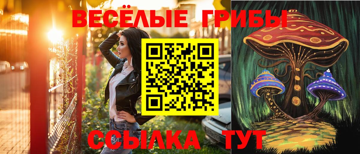 Галлюциногенные грибы Psilocybine cubensis Рязань