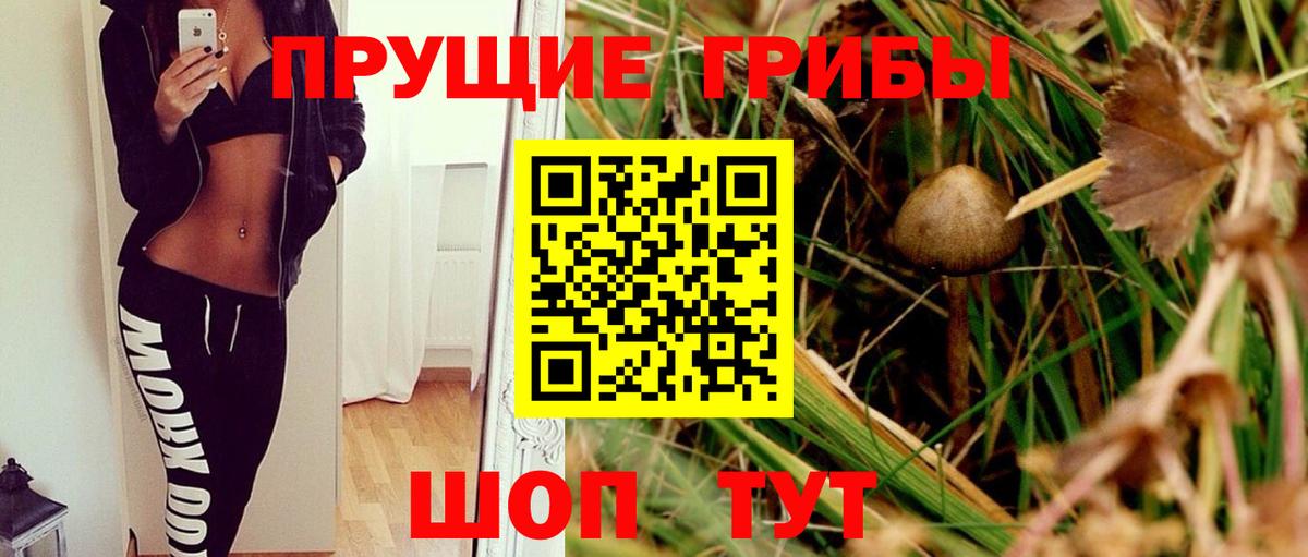 Галлюциногенные грибы Psilocybine cubensis  Галлюциногенные грибы Cubensis  Вход с VPN  Рязань 